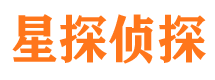 新安侦探公司